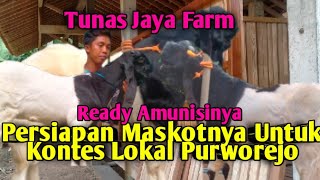 Maskot Tunas Jaya Farm Banyak Yang Siap Untuk Kontes Lokal Purworejo