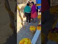 lindo la tradición de la chura Tarija Bolivia 🇧🇴