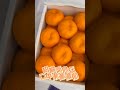 【天天果園】日本佐賀唐津蜜柑原裝1kg禮盒(約12-15入) product youtube thumbnail