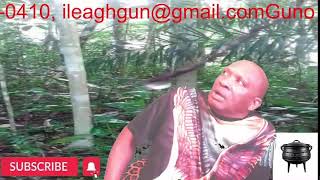 Download Lagu Sede alla Obia Sama  e taki dati Yu mosu go bai sani fu do na wroko MP3