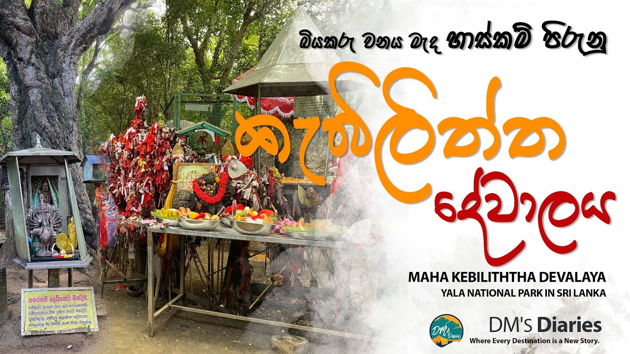 කැබිලිත්ත වන්දනා | Kebiliththa Wandana 🙏 | Deep Inside Yala’s Jungle 🐘🌿 #KebiliththaDevalaya