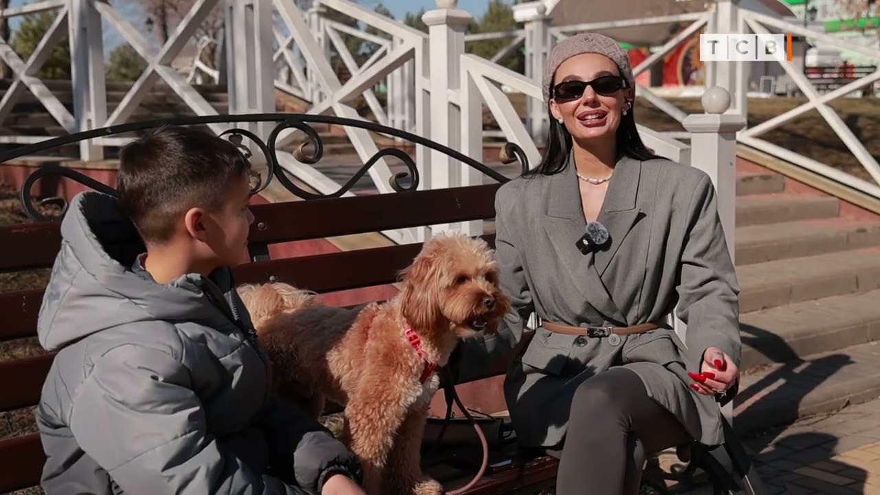 Самая модная собака пятилетия. Мальтипу