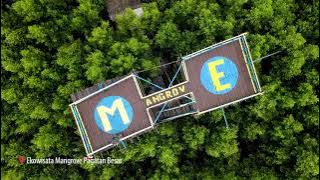 Fantastic Tanah Laut - Tanah Laut Drone Festival 2021