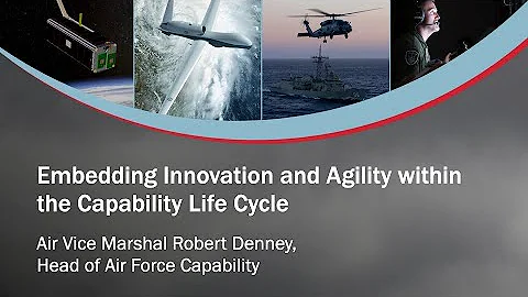 Embedding Innovation and Agility into the Capabili...