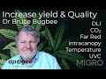 How to increase yield and quality with dr bruce bugbee