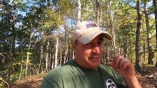 An Old Map, A Forgotten Cemetery and a little girl's Ghost - discoveries in the woods