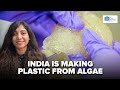 India is making bioplastic made from algae  the csr journal