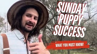 Sunday Success with The Puppies!!!