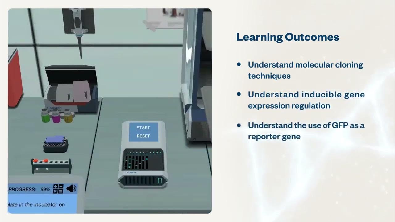 Molecular Cloning Virtual Lab YouTube