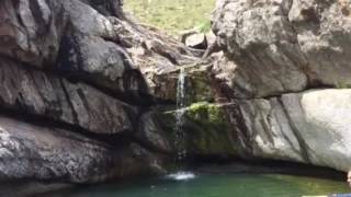 Naciente del naposta