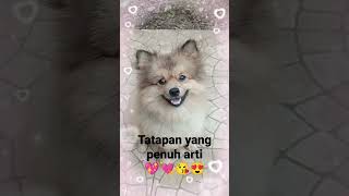 Bahasa Kasih💕