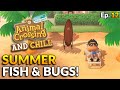 July Bugs! July Fish! Summer Is Here! - Animal Crossing And Chill Ep.12