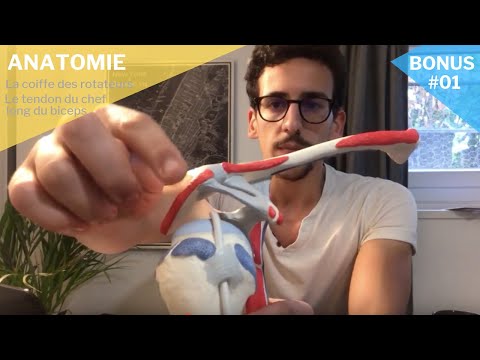 Vidéo: Que sont les ciseaux à ténotomie ?