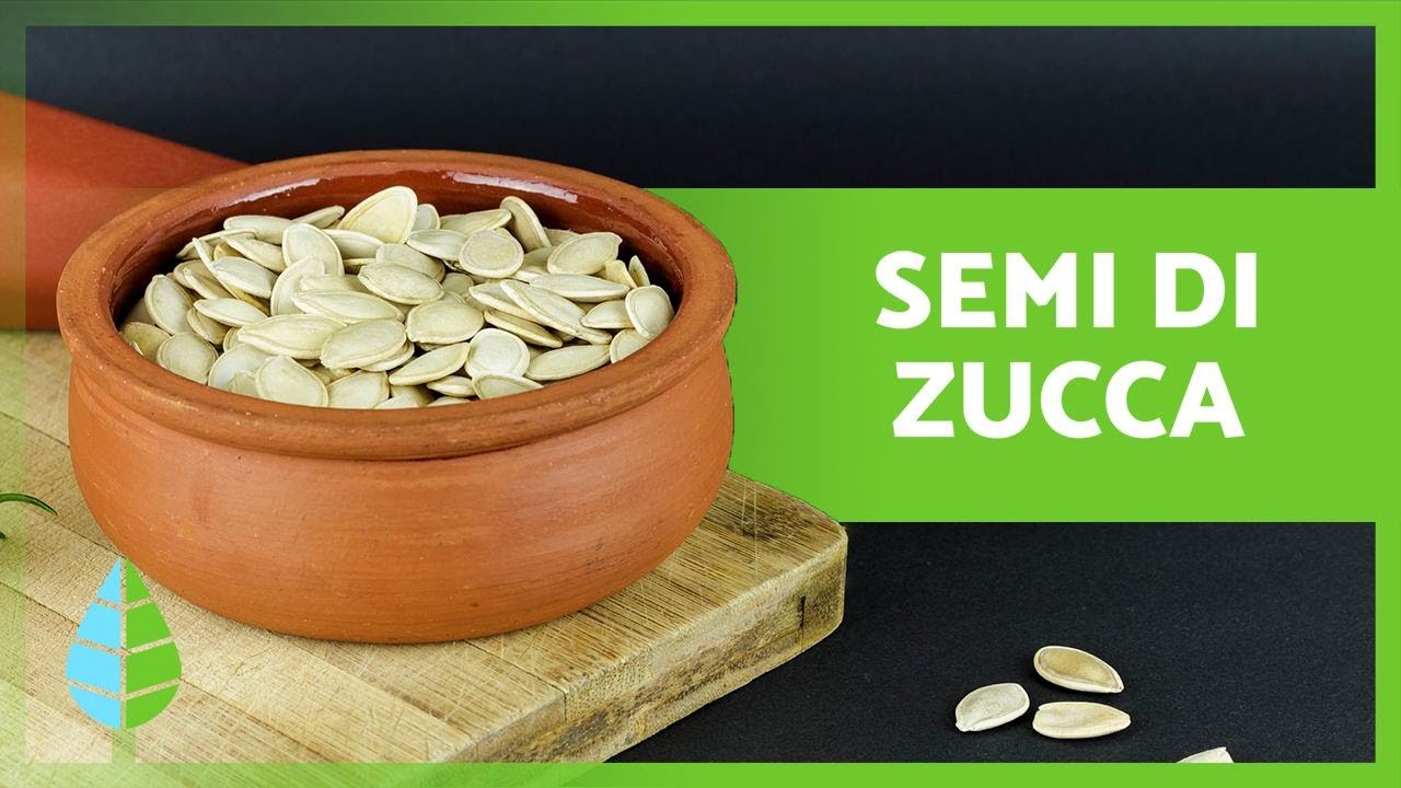SEMI di ZUCCA 🎃 Proprietà, BENEFICI e modalità di preparazione 🧡