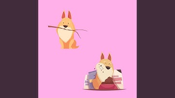 High-class Backdrops for Separation Anxieties