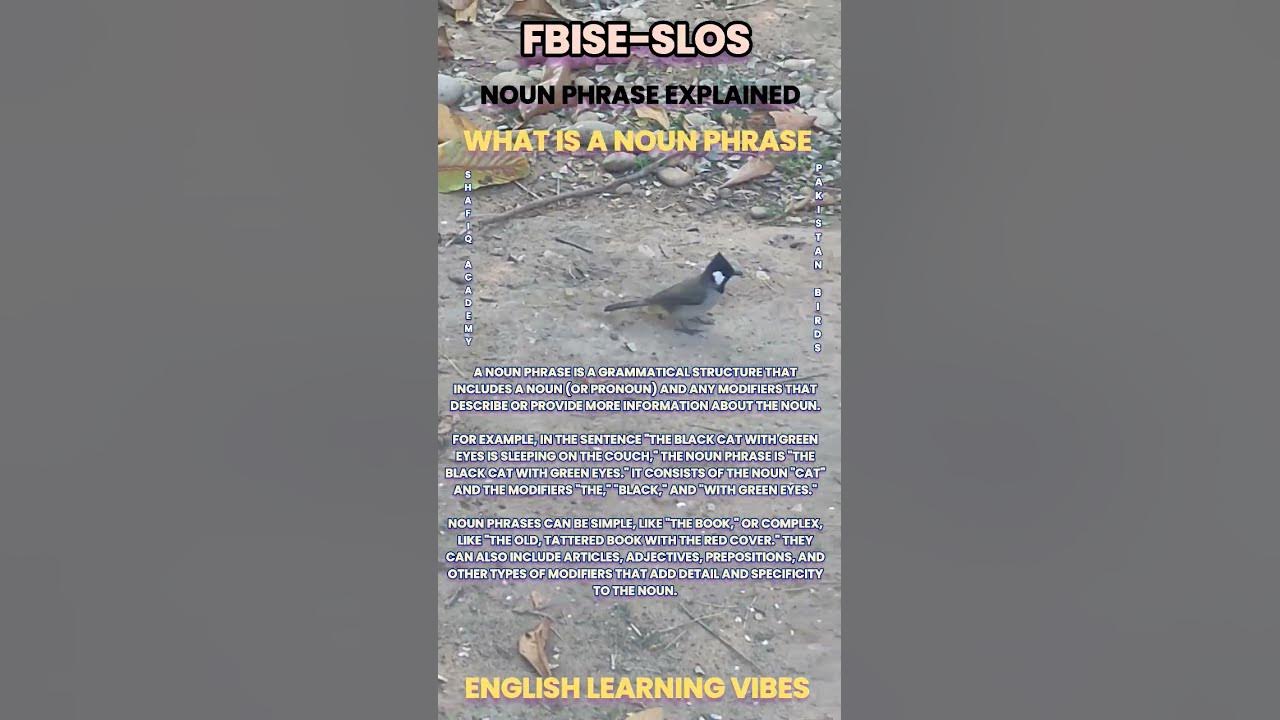 pakistan-birds-mother-nature-noun-phrase-explained-what-is-noun