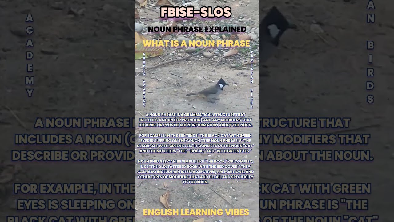 Pakistan Birds Mother Nature Noun Phrase Explained What Is Noun Pakistan Birds Mother Nature Noun Phrase Explained What Is Noun