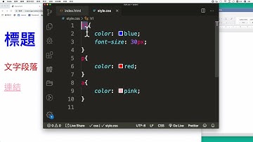 HTML 標籤選擇器