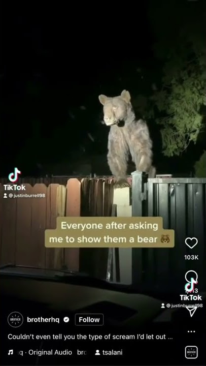 Duhh😕big bear#viral #tiktok #short #shorts #hunter #bear  #countryboy#trending #subscribe #share