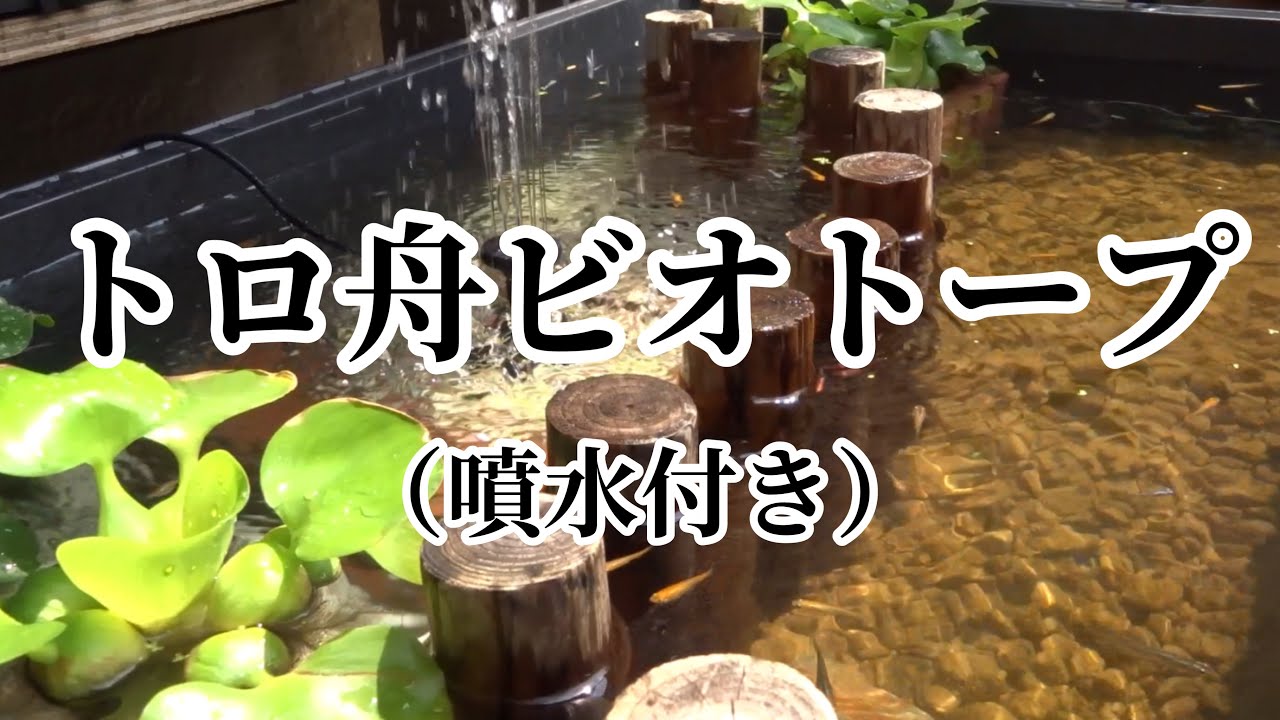 トロ舟ビオトープ 後編 配置も完了 噴水もばっちり 水も落ち着いたのでメダカの稚魚を放流 水中映像のおまけ付き アラフィフのメダカライフ ビオトープ作りvlog Youtube