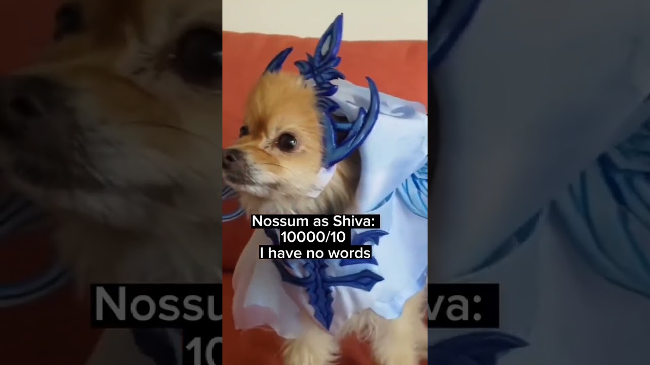 Dog Cosplay! Final Fantasy XVI Eikons as dogs.