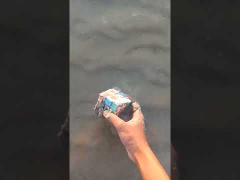 วีดีโอ: วิธีแพ็คไลท์ให้เป็นเวลาหนึ่งสัปดาห์ในทะเลแคริบเบียน