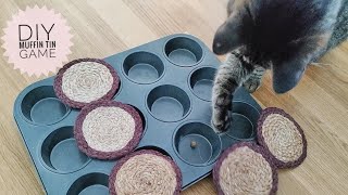 DIY Muffin Tin Game: Interactive Fun for Cats!