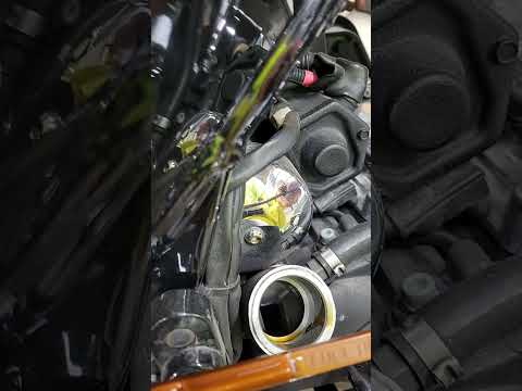 Harley-Davidson oil check