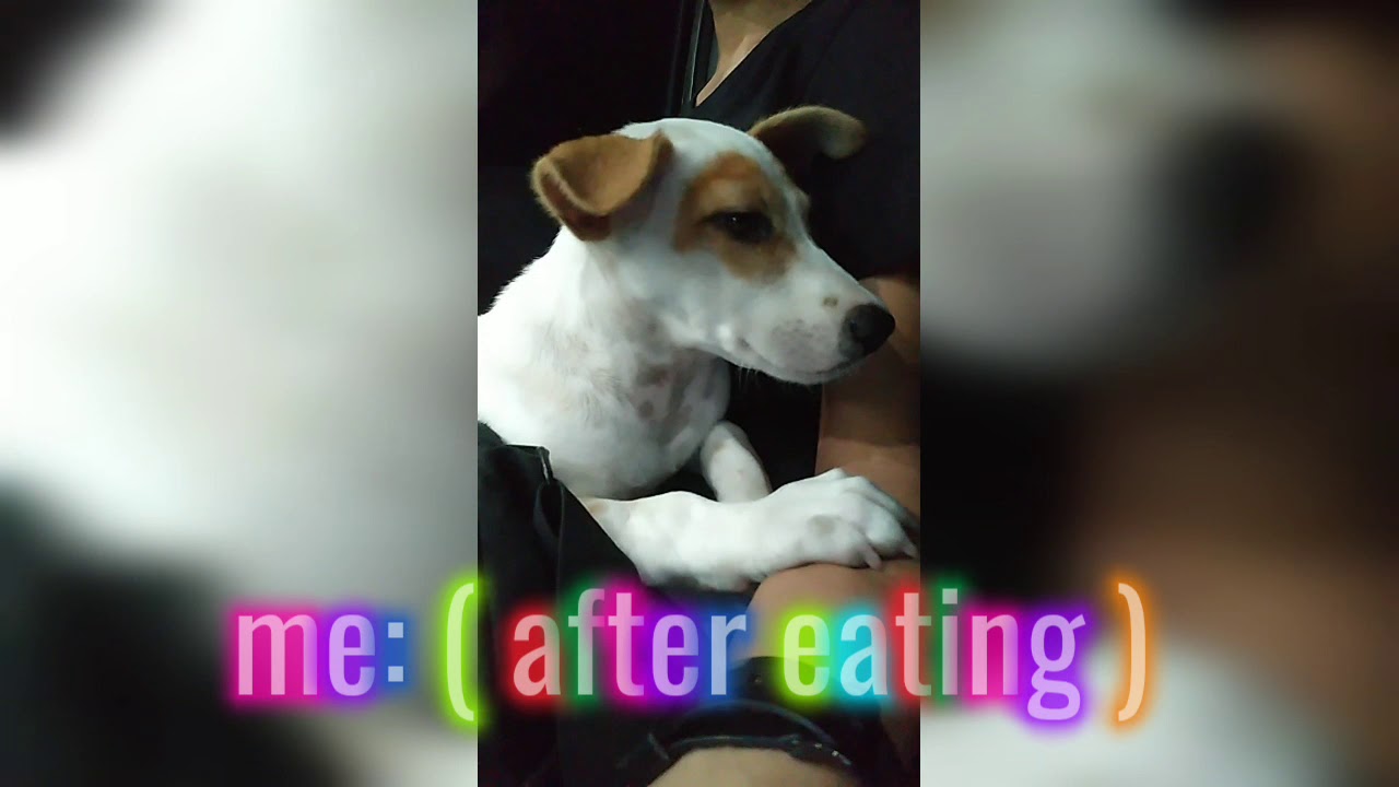 How do I feel after eating 😂 YouTube