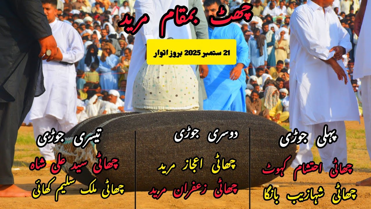 Chat Mureed Chat at Mureed on Sunday, September 21, 2025 