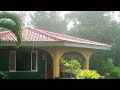 Heavy rainfall in jamaican countryside rain sounds in jamaica