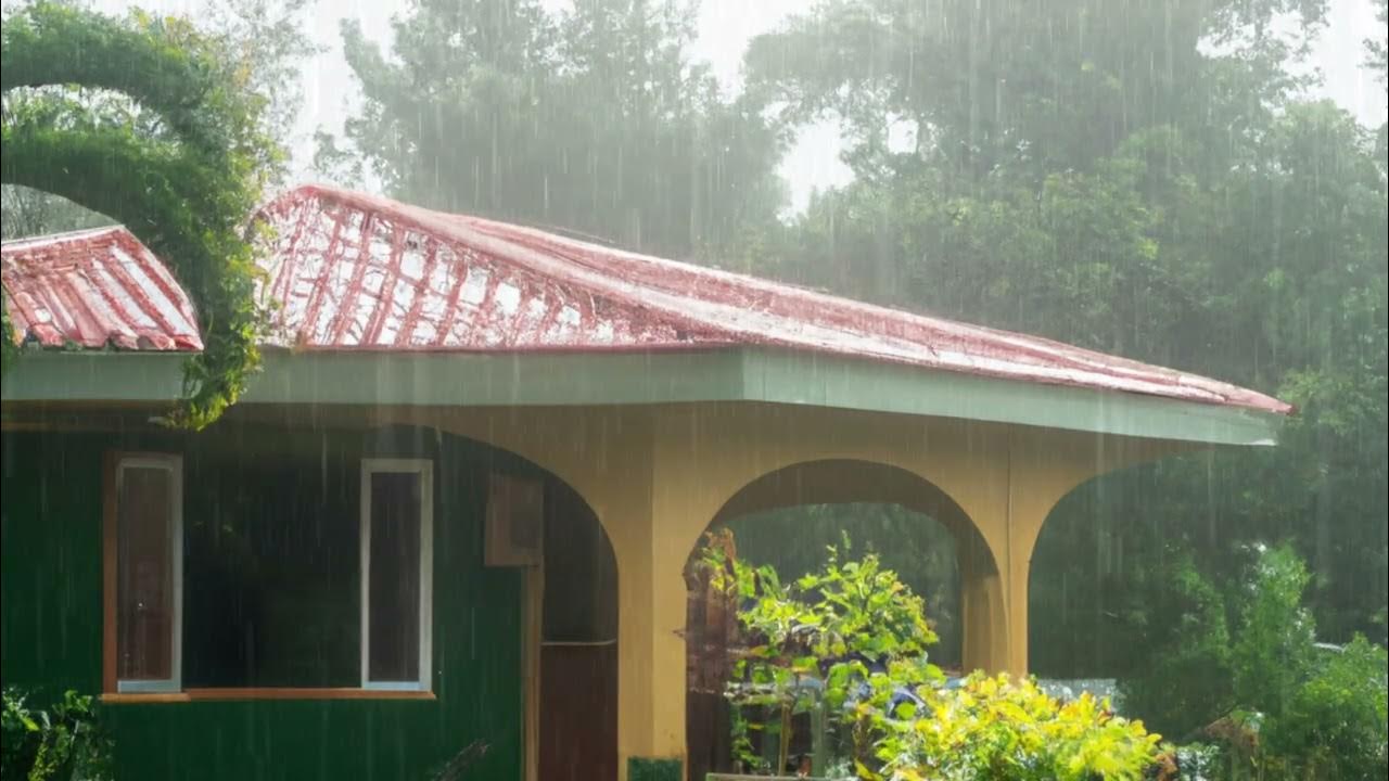 Heavy rainfall in Jamaican Countryside Rain Sounds in Jamaica YouTube