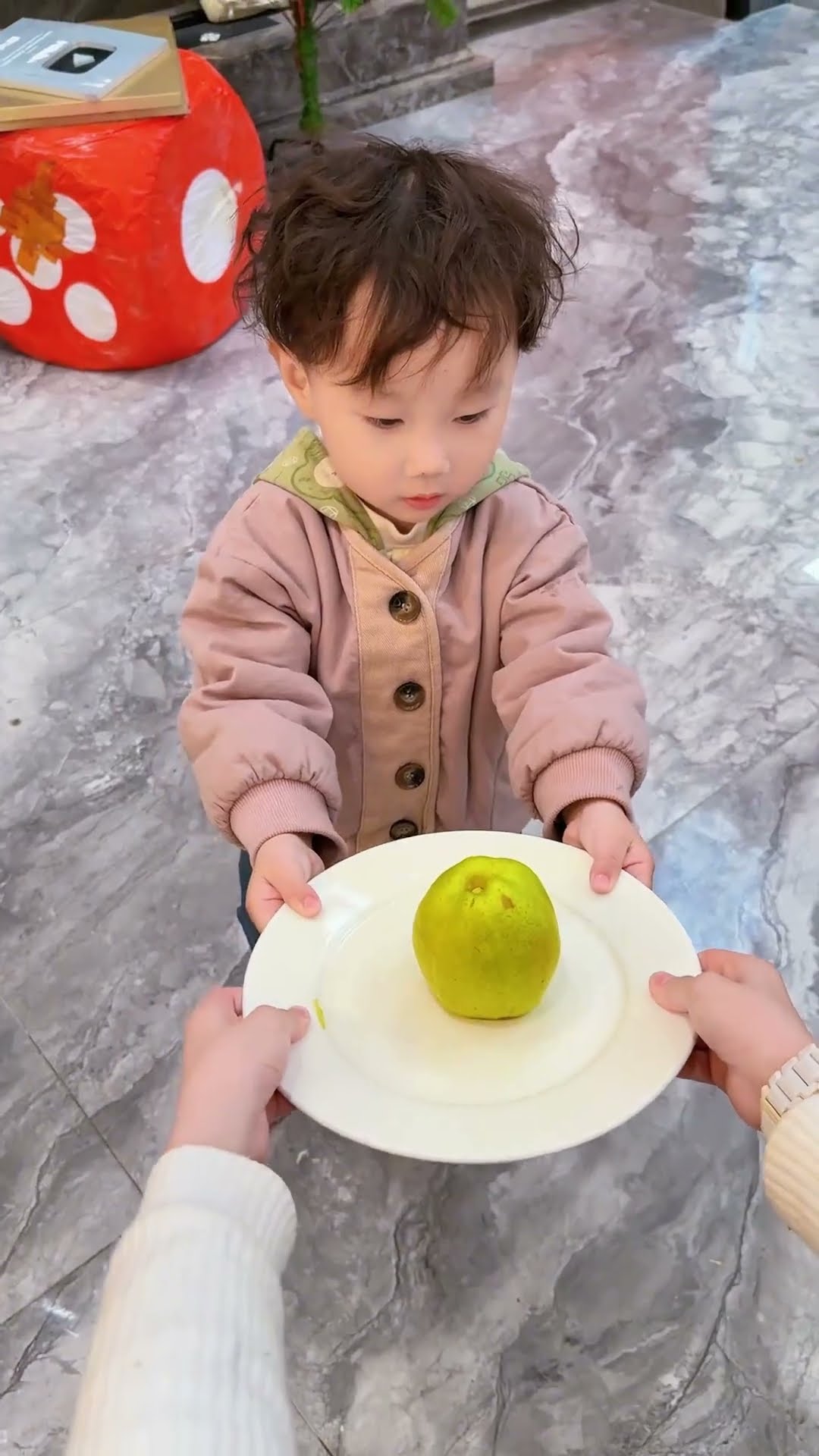 【斗罗大陆】这颗苹果竟然有虫子！ #斗罗大陆#唐舞桐 #哪吒