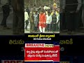 శ్రీవారి కోసం 30 గంటలు నిరీక్షణ! #tirumalaupdates #tirumala #tirumalatirupati #tirumalatemple