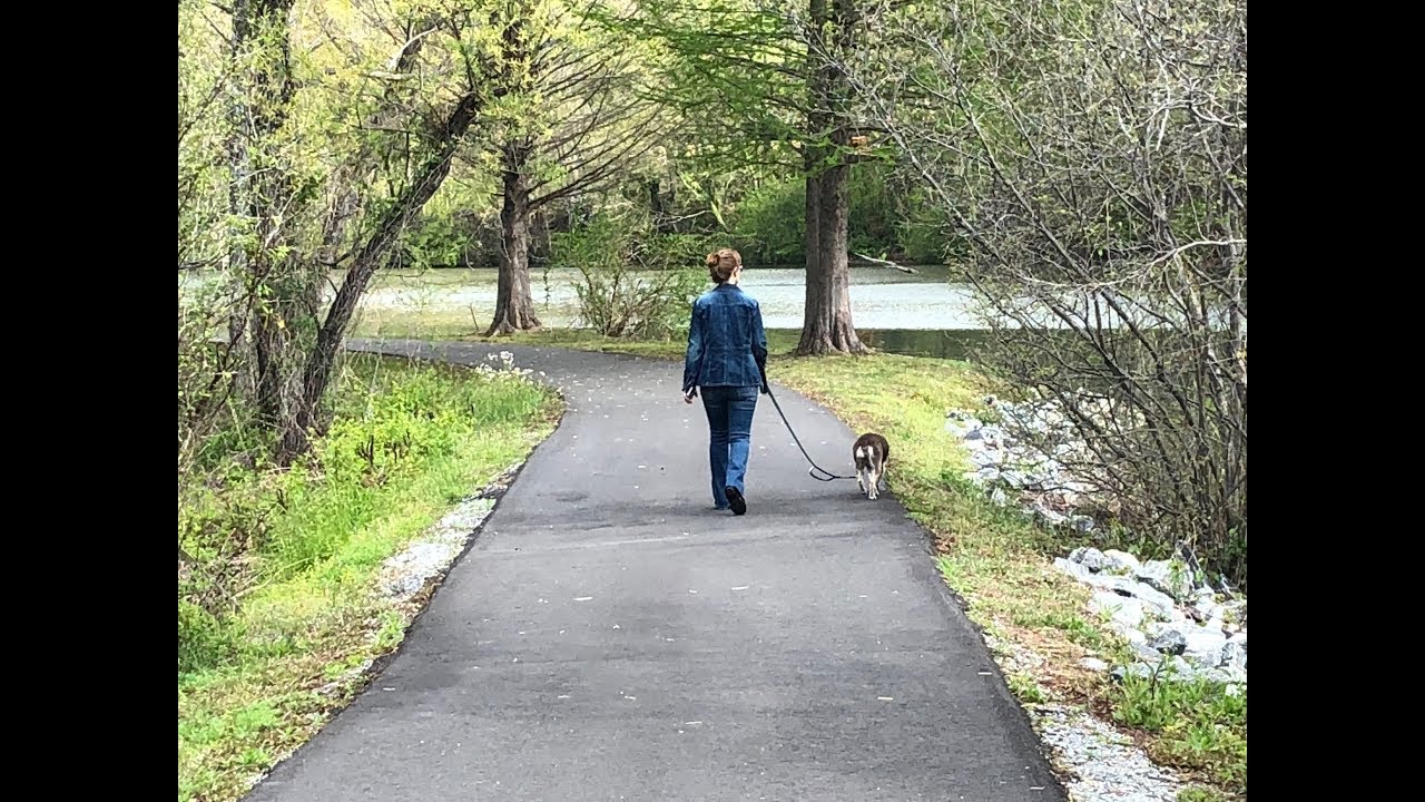 April Walk at Morse Park in Lake Lure, NC YouTube