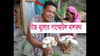উচ্চমূল্যের সাম্মোউল মাশরুম, পাহাড়ী খাবার, রাঙ্গামাটির মাশরুম, Highvalue Summoul Mushroom, Hill food