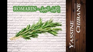 Romarin - إكليل الجبل