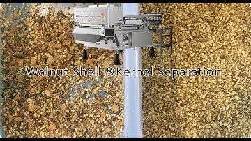 Walnuts Shell & Kernel Separation Machine (Belt Type Infrared Sorter)