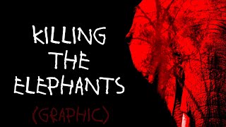 OP Finds Dead Elephants in Africa [GRAPHIC]