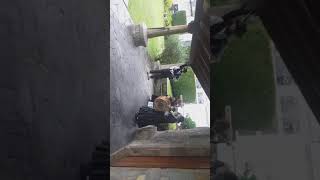 A marola de mera