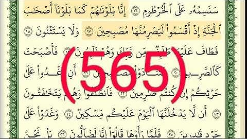 سورة  القلم رقم الصفحة 565 مجود بصوت القارئ الشيخ أيمن سويد حفظه الله
