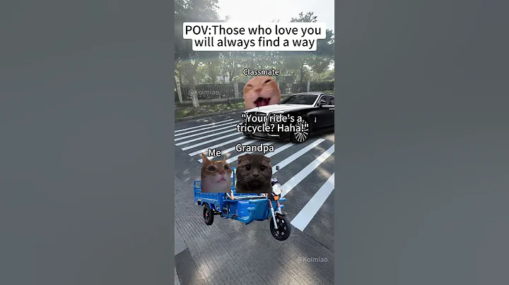 Video 11904331: cat funny love