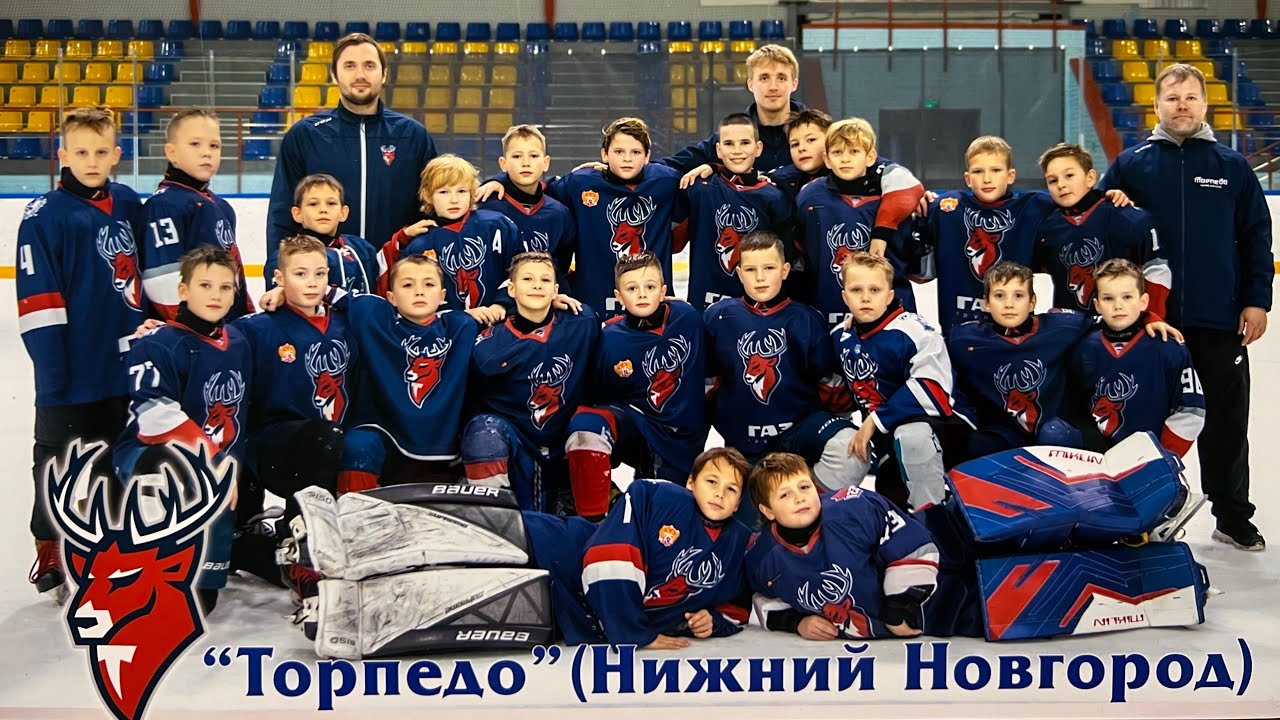 Торпедо 2014