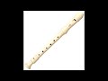 Mission Impossible Theme Song Flute Cover Mission Impossible Theme Song Flute Cover