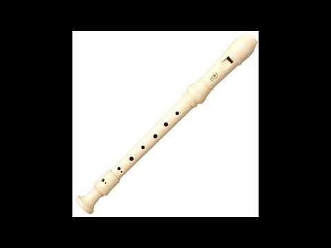 Mission Impossible Theme Song (Flute Cover)