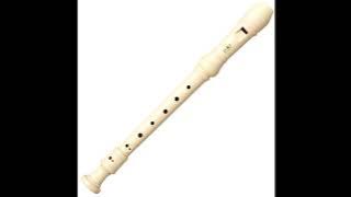 Mission Impossible Theme Song (Flute Cover)