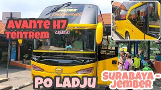 Avante H7 Tentrem Milik PO LADJU Surabaya - Jember