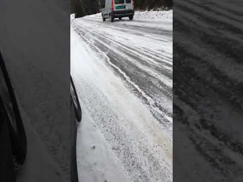 Жестокое убийство мыши! Как проще всего убить мышь. Кадры не для слабонервных.