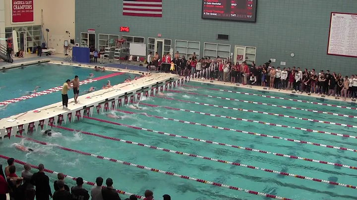 M 100 BK Bankes Gatward Fenton Fitzpatrick BWO