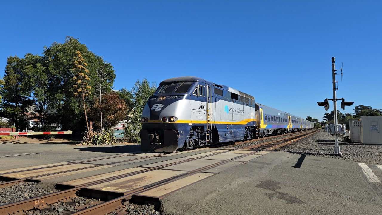 THE ALFEE 24th Summer 2005 TOKYO BAY-ST… 23rd Summer 2004 LOVE